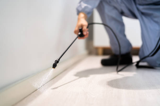 Licensed Termite Control service in Okanogan County County, WA - Nex Pest Control
