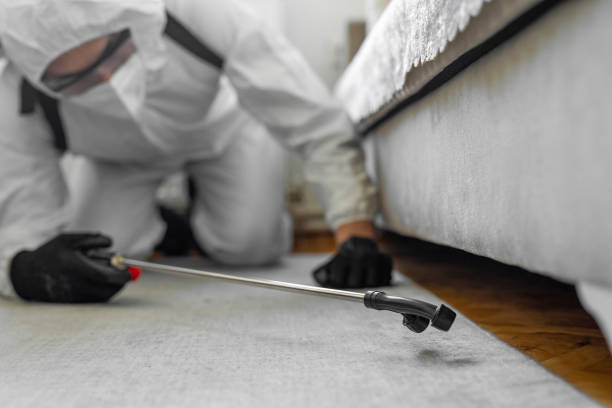 Professional Termite Control technician working in Okanogan County County, WA